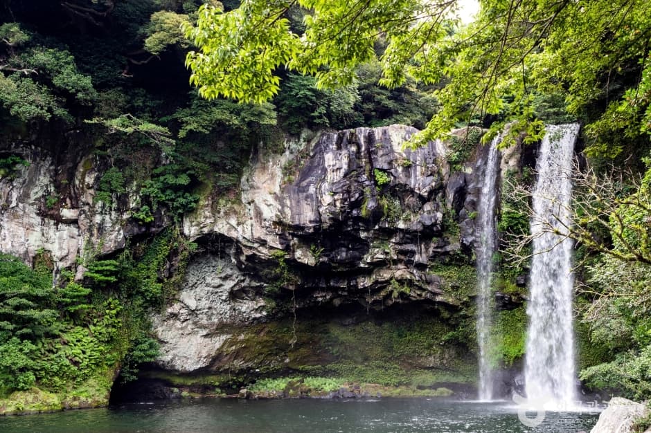 천지연폭포 (제주도 국가지질공원) (4)