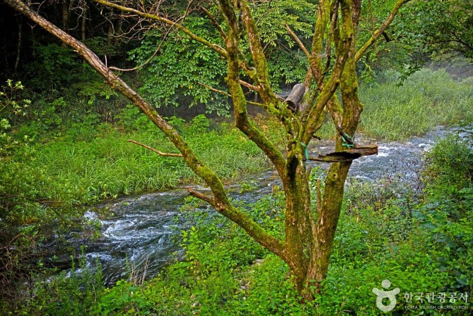덕산계곡 (6)
