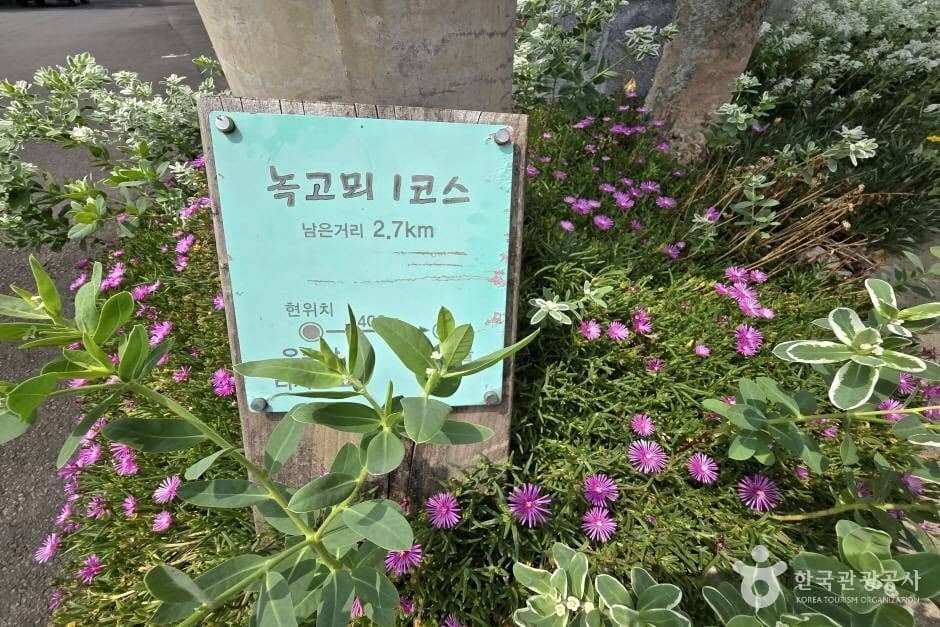 제주 유수암마을_e (11)