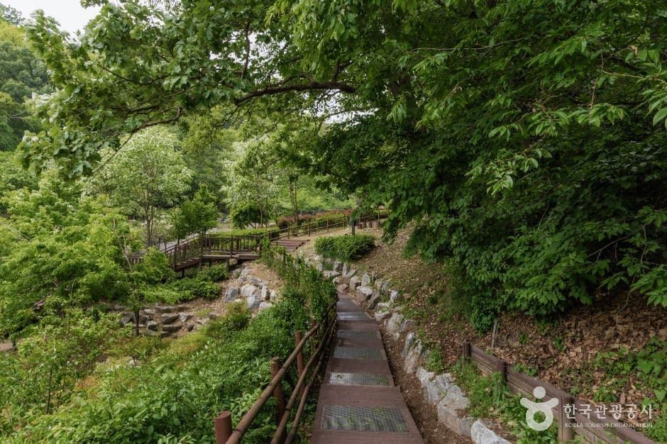 서울_우면산자연생태공원 (5)