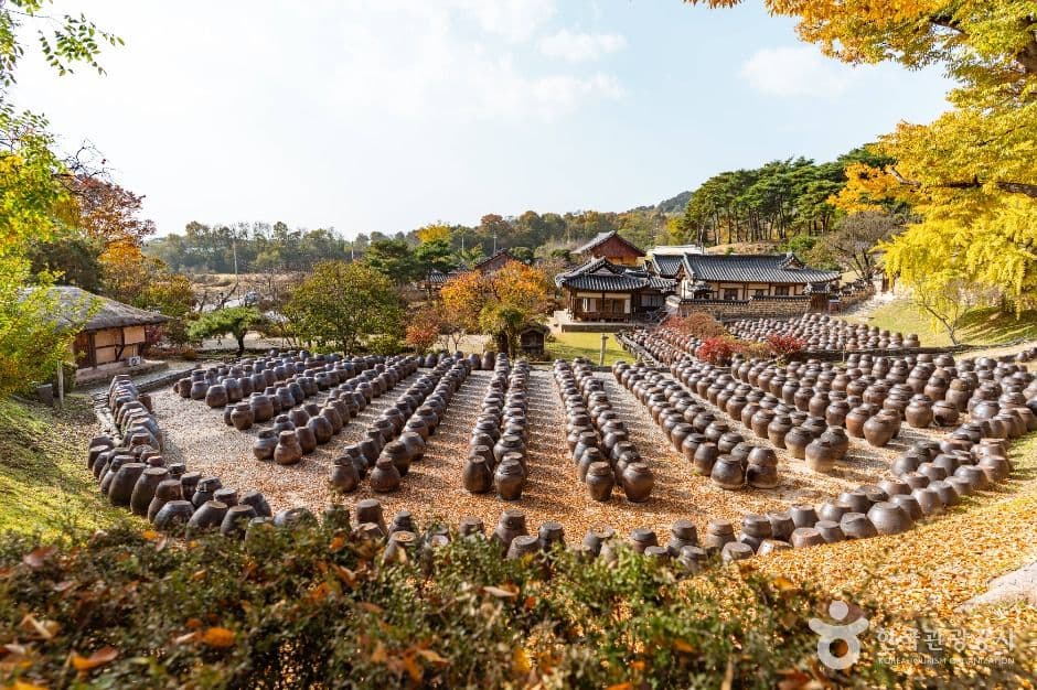 논산_논산명재고택 (2)