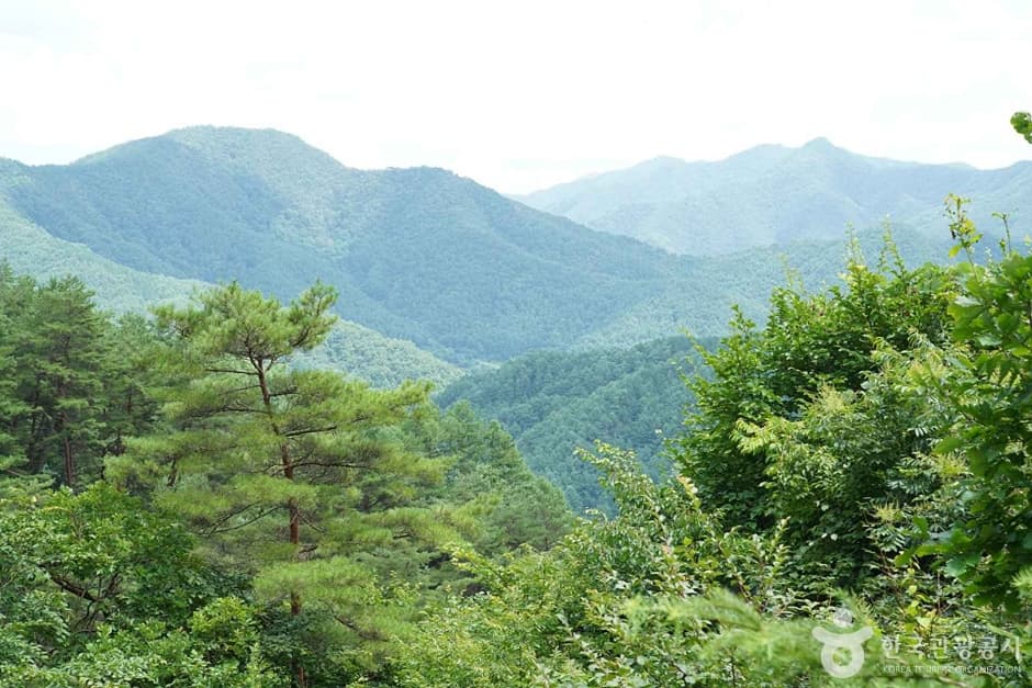 기우산(정선) (16)