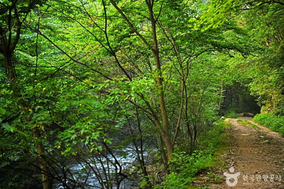 덕산계곡 (7)