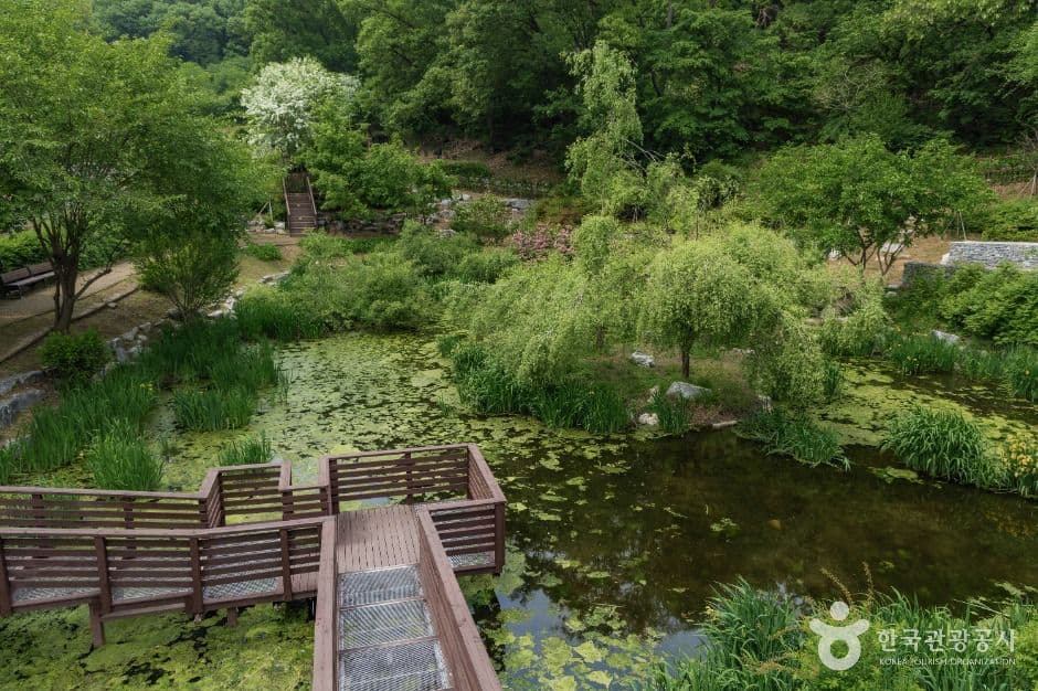 서울_우면산자연생태공원 (6)