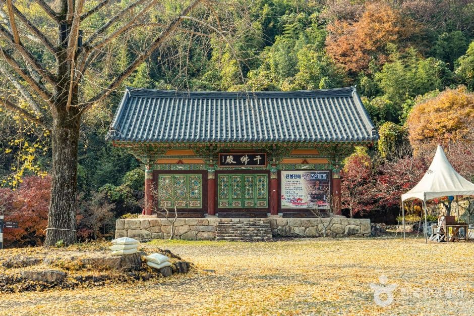 화순_개천사 (3)