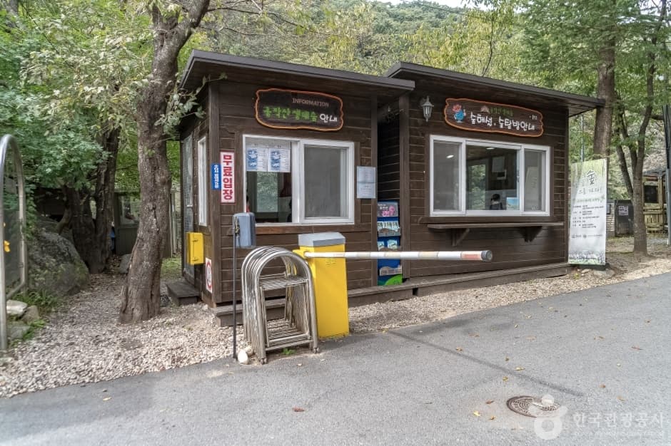 공작산생태숲 (10)