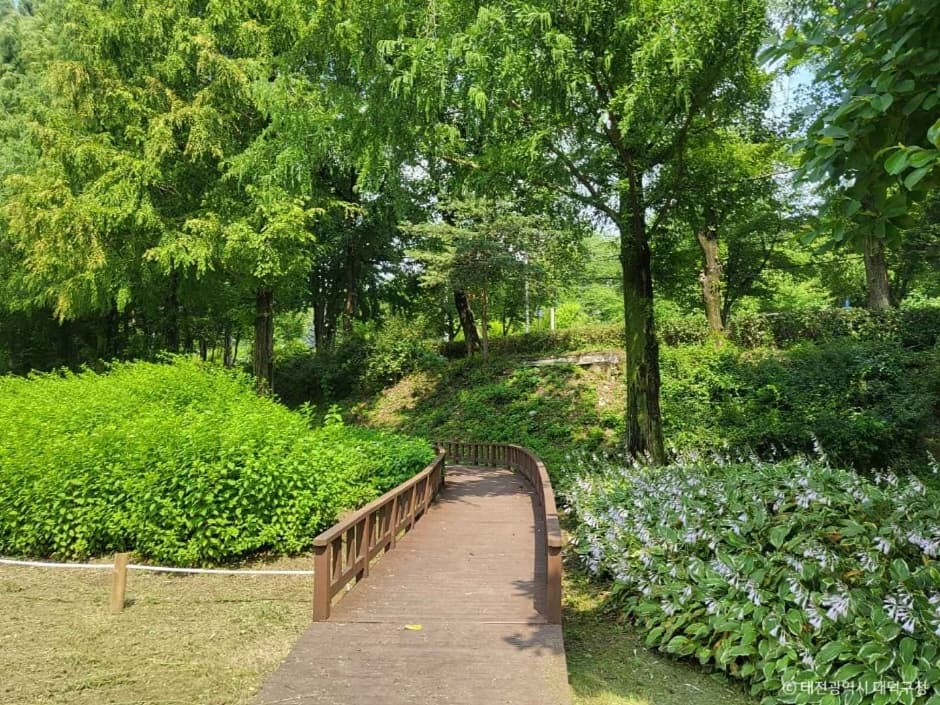 금강로하스 대청공원(암석식물원) (3)