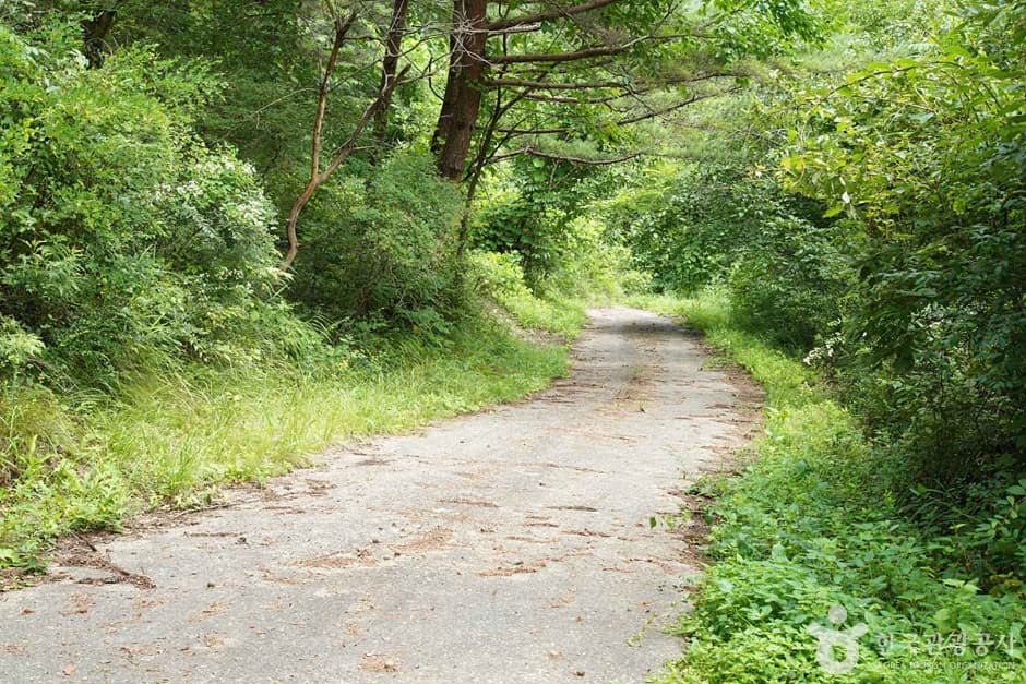 기우산(정선) (17)