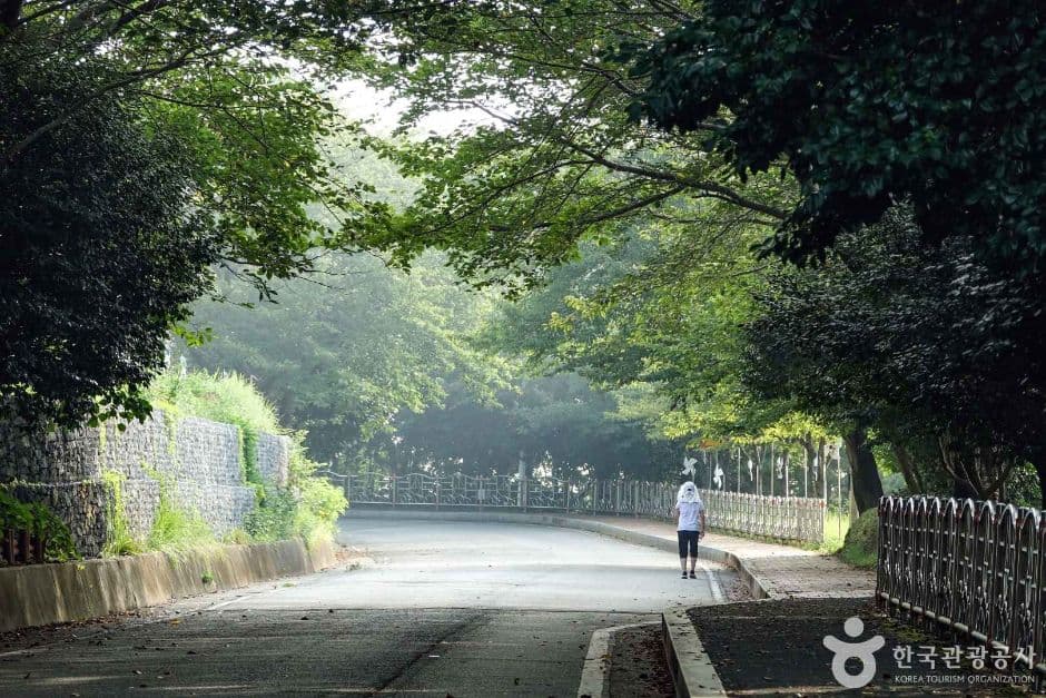 장승포 해안일주도로 (4)