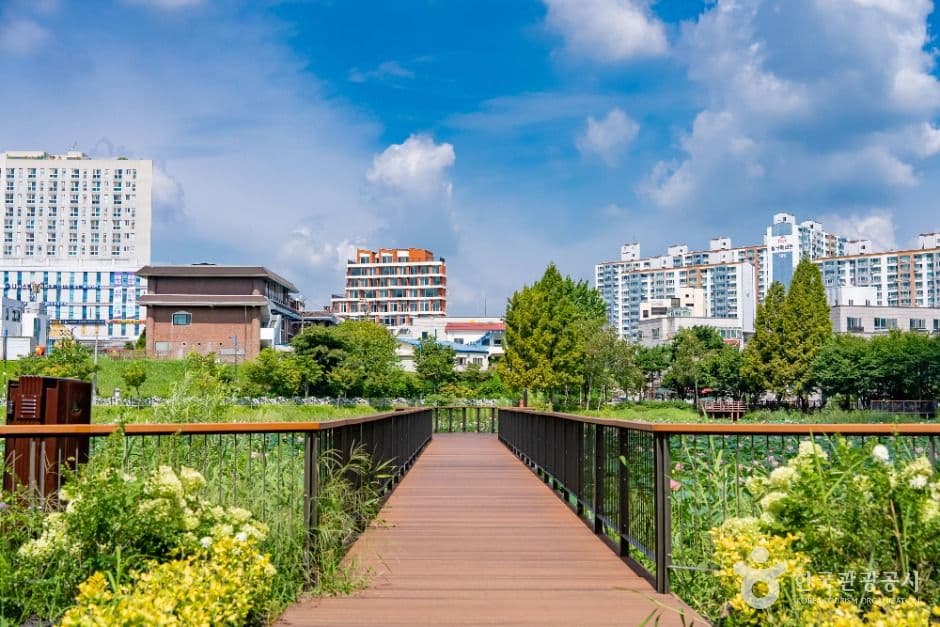 화성_봉담 호수공원 (5)