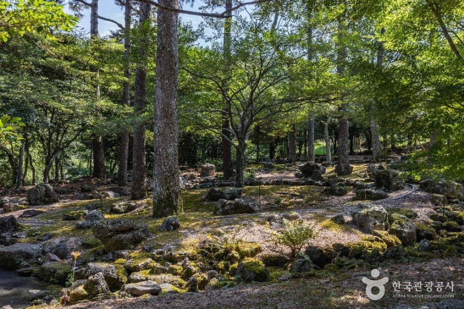 제주_한라수목원 (19)