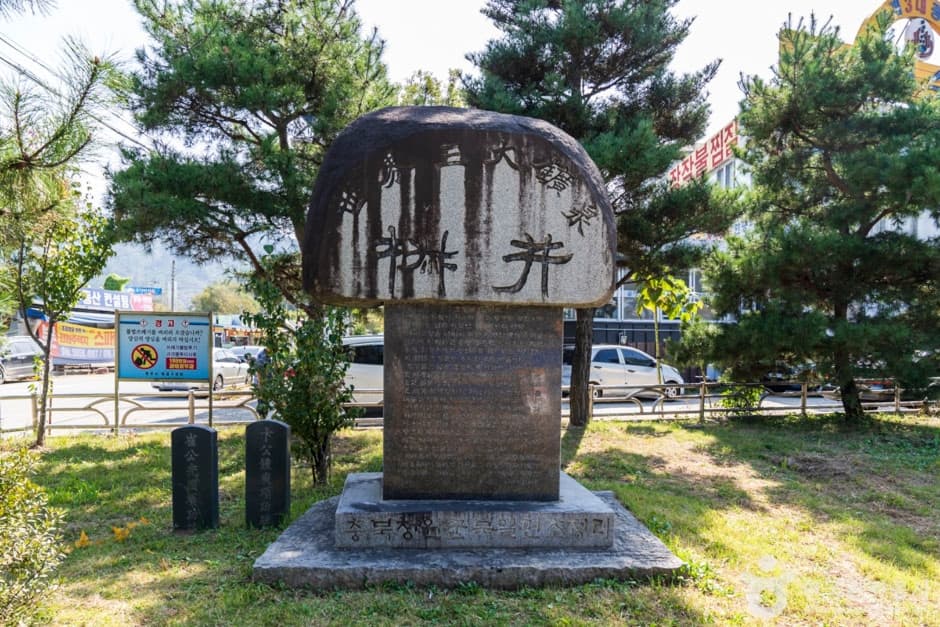 충북_청주_초정약수(3)
