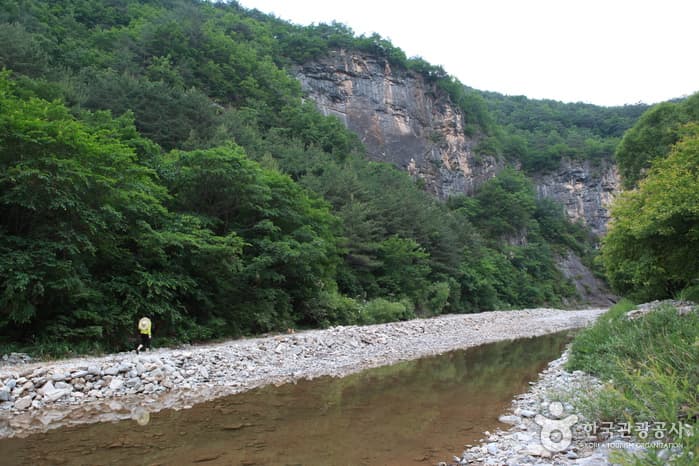 정선덕산기트레킹21