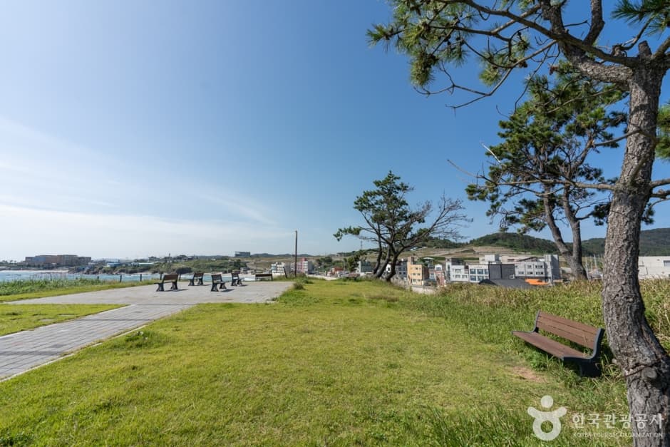경북_포항_구룡포해수욕장 (4)