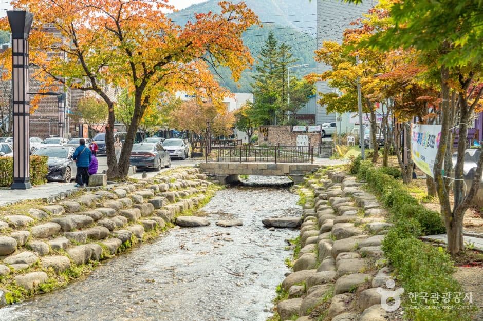 태백_황지연못 (5)