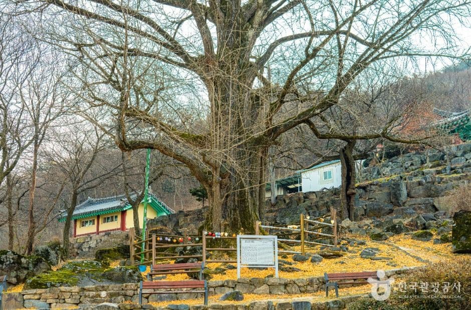 거창_연수사(거창) (7)