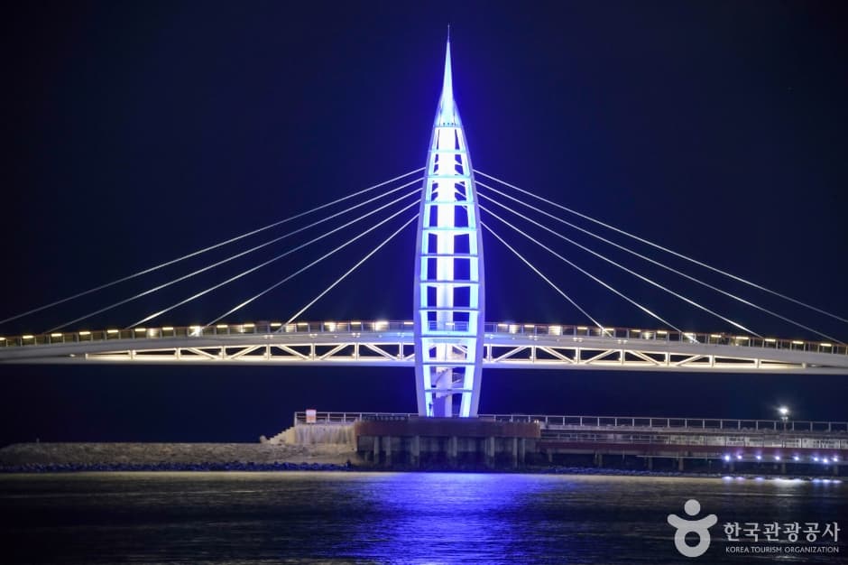 새섬 새연교 (4)