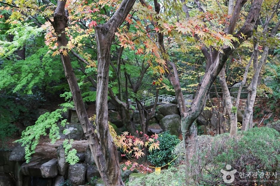 금강식물원 (16)