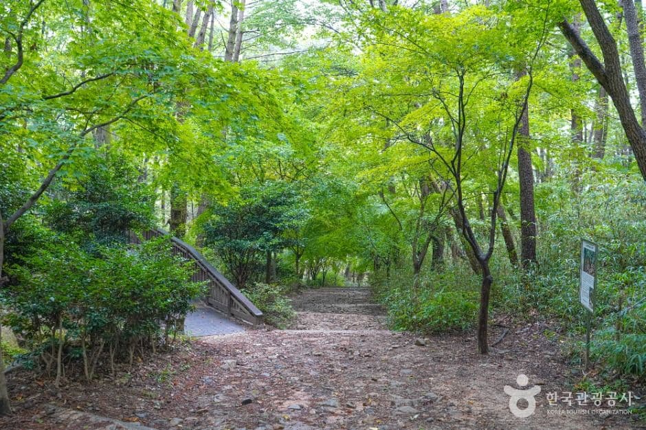 부산_백양산 웰빙숲 (4)