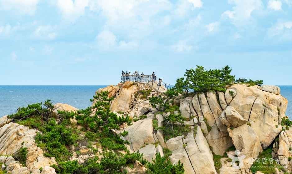 대왕암공원 (6)