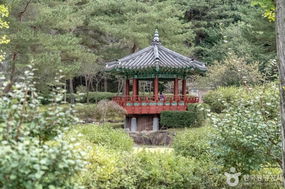 공작산생태숲 (16)