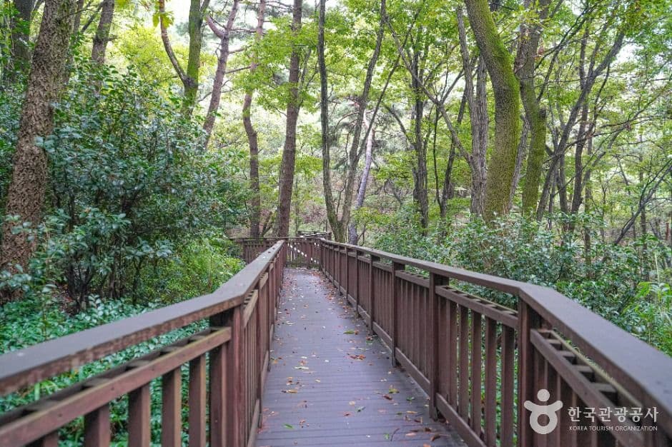 부산_백양산 웰빙숲 (5)