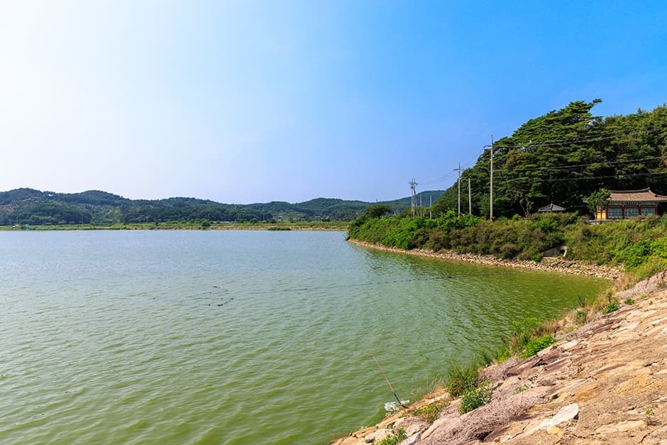 충남_홍성군_홍성호_풍경_6