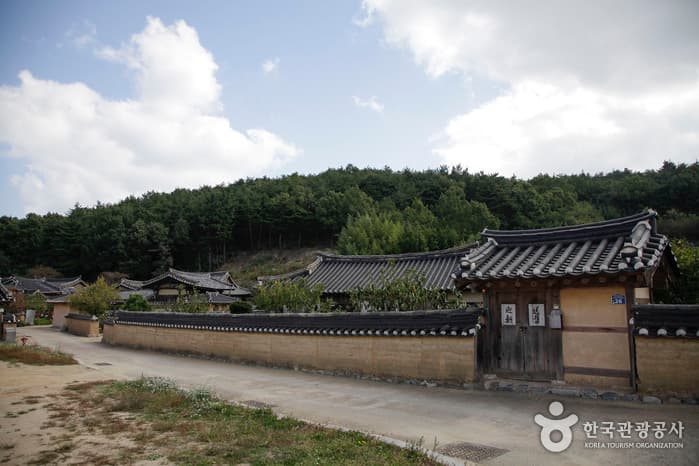 경북_영덕_괴시리전통마을03