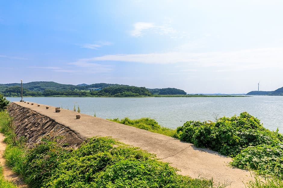 충남_홍성군_홍성호_풍경_7