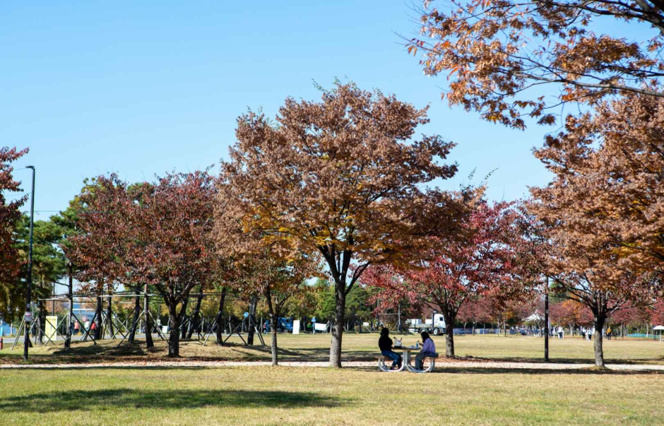 한강시민공원 난지지구(난지한강공원) (2)