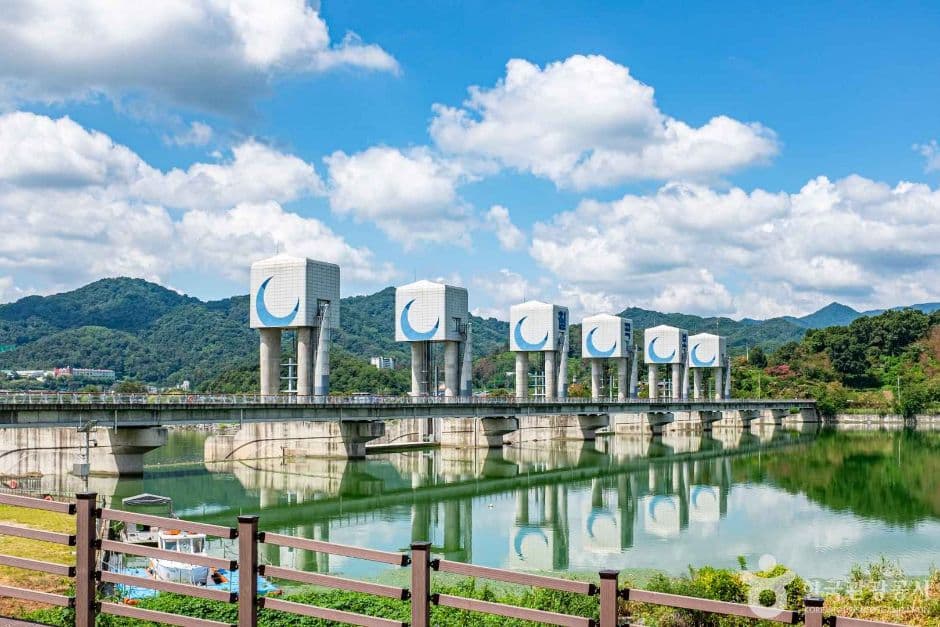 칠곡_칠곡보 생태공원 (6)