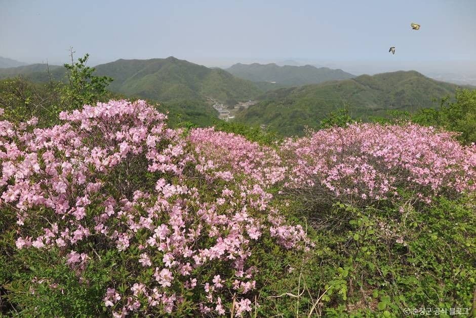 순창_국사봉(순창) (3)