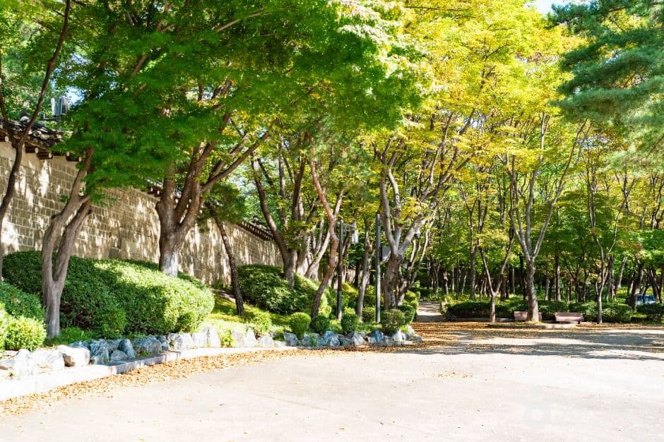 서울_율곡로 (5)