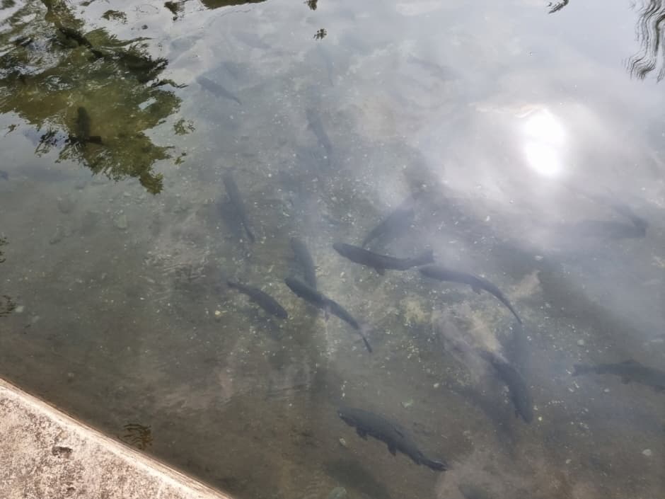 관광두레 주민사업체_食 休 耕(식휴경)(11)