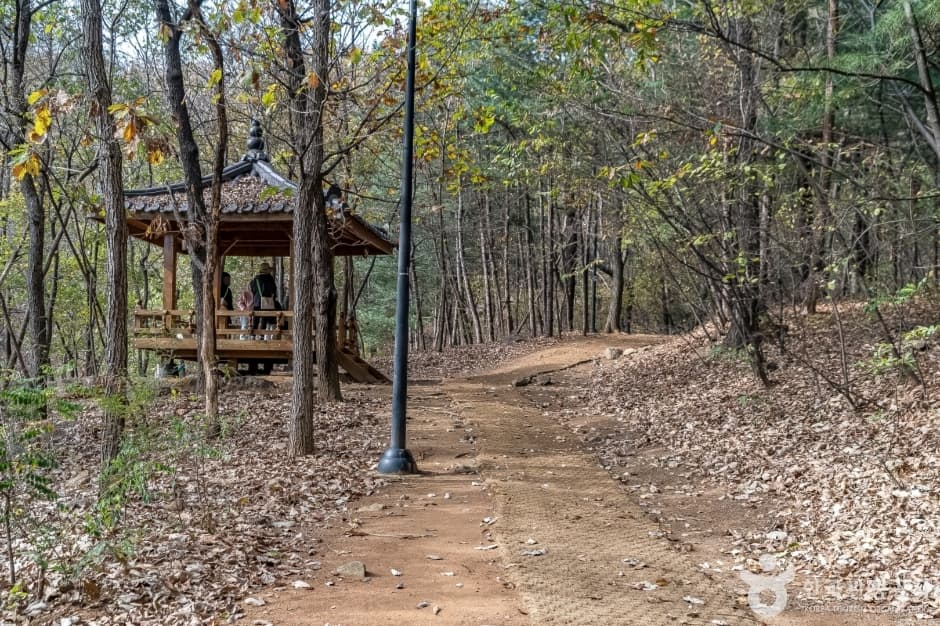판교공원 (6)