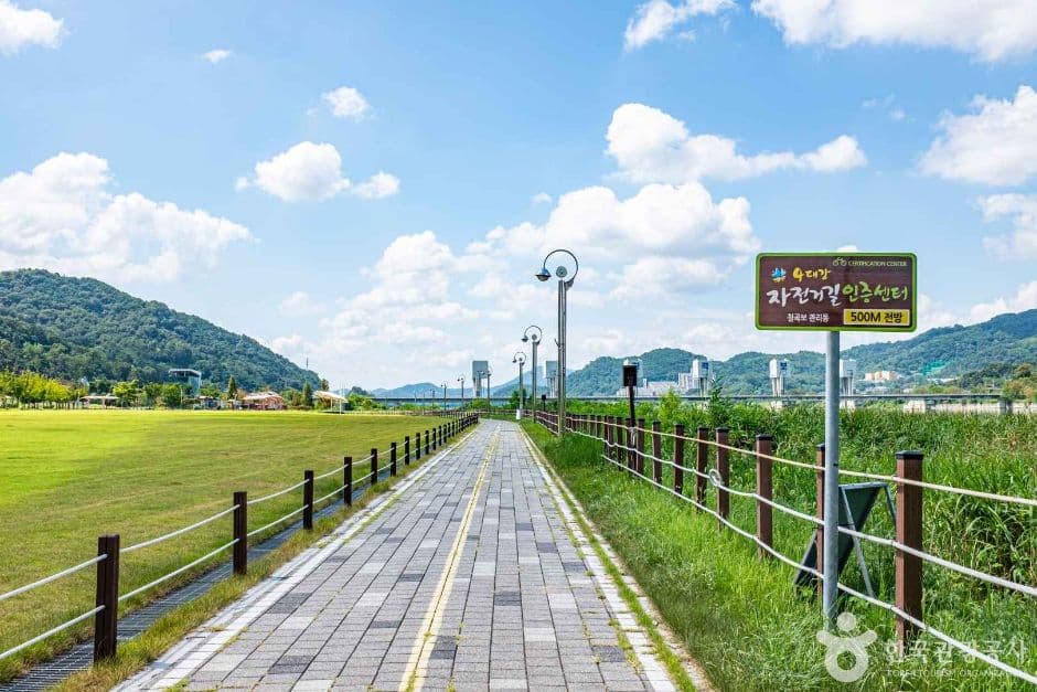 칠곡_칠곡보 생태공원 (2)