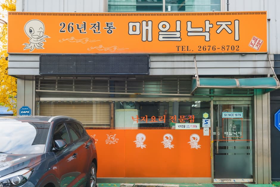 매일낙지