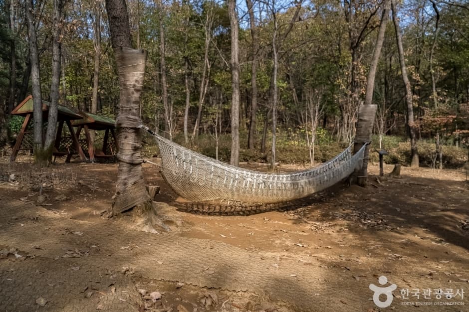 판교공원 (8)