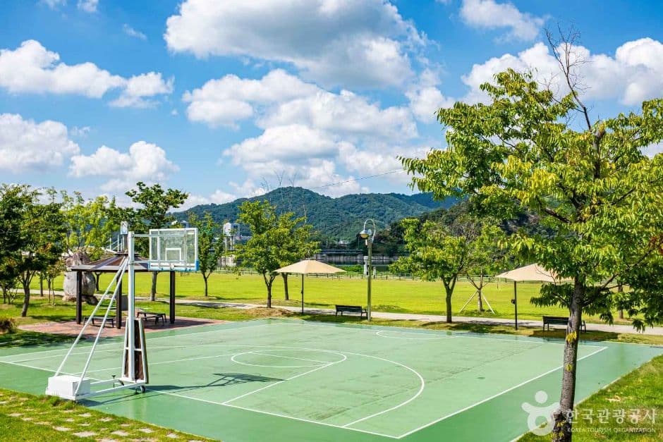 칠곡_칠곡보 생태공원 (3)