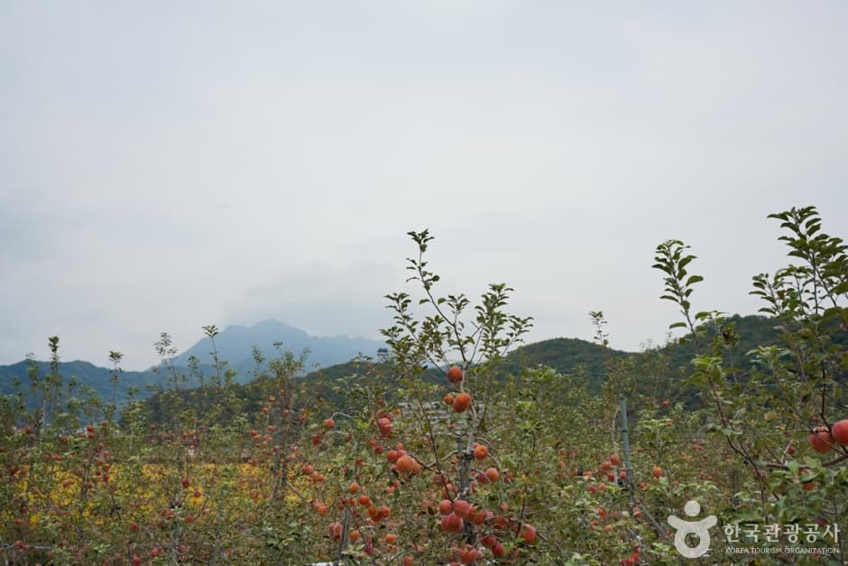 경북_문경_주흘산 (5)
