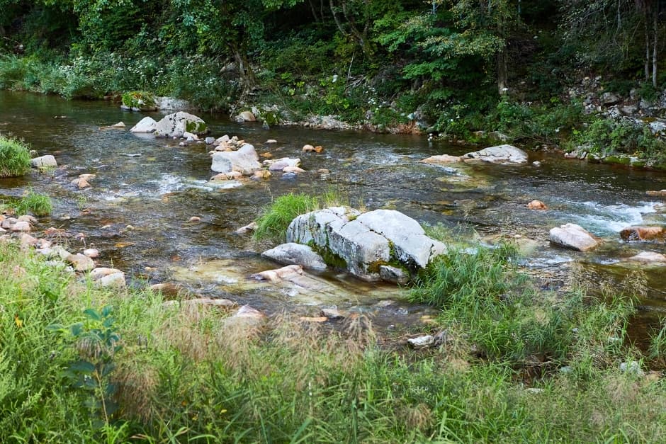 흥정계곡 (5)