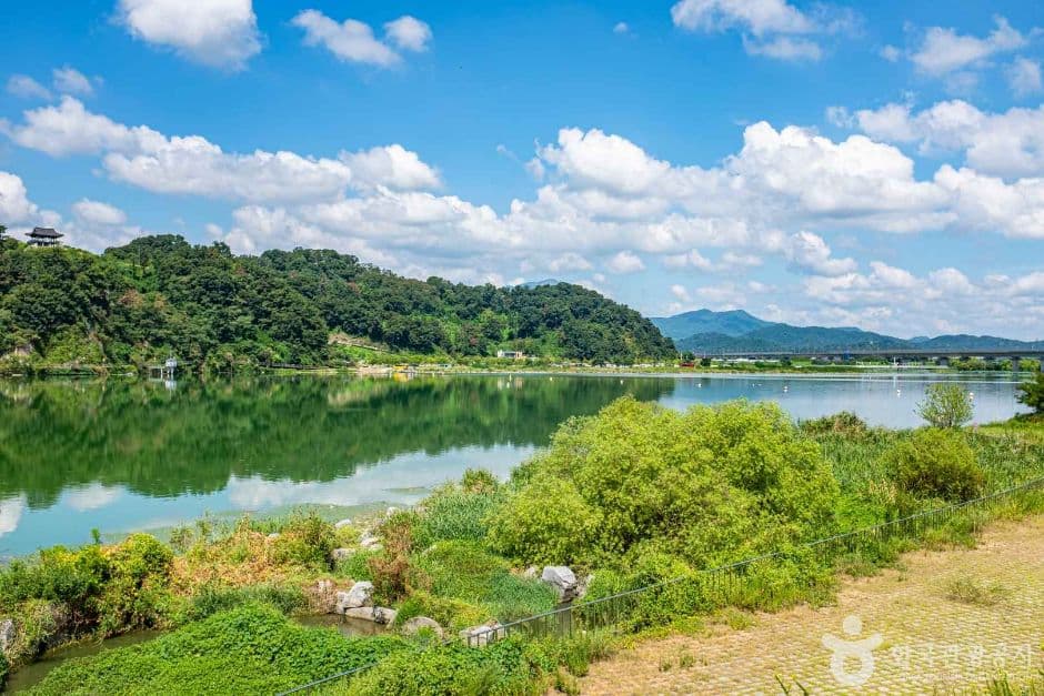 칠곡_칠곡보 생태공원 (5)