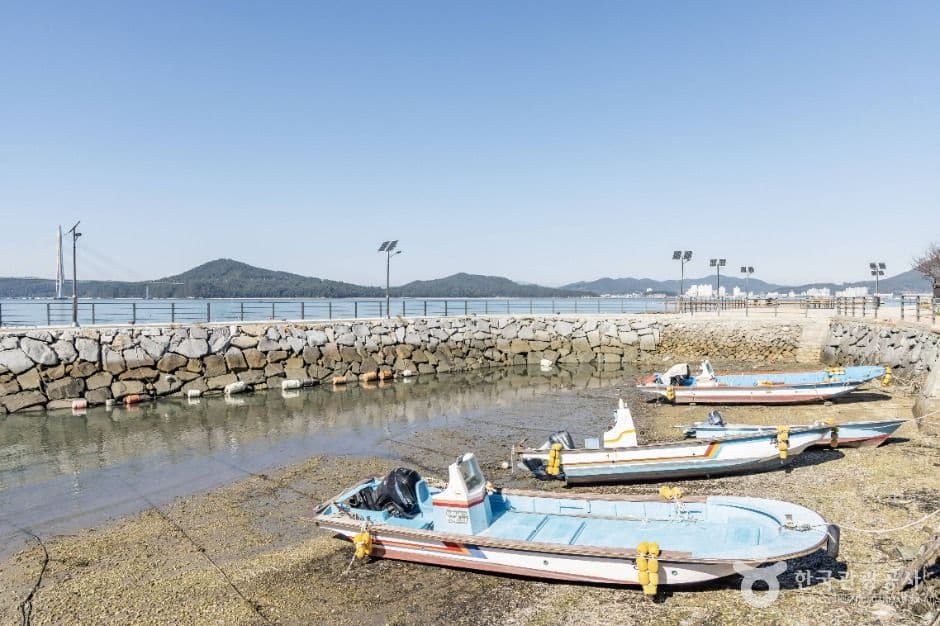 고흥_하화도(고흥) (4)