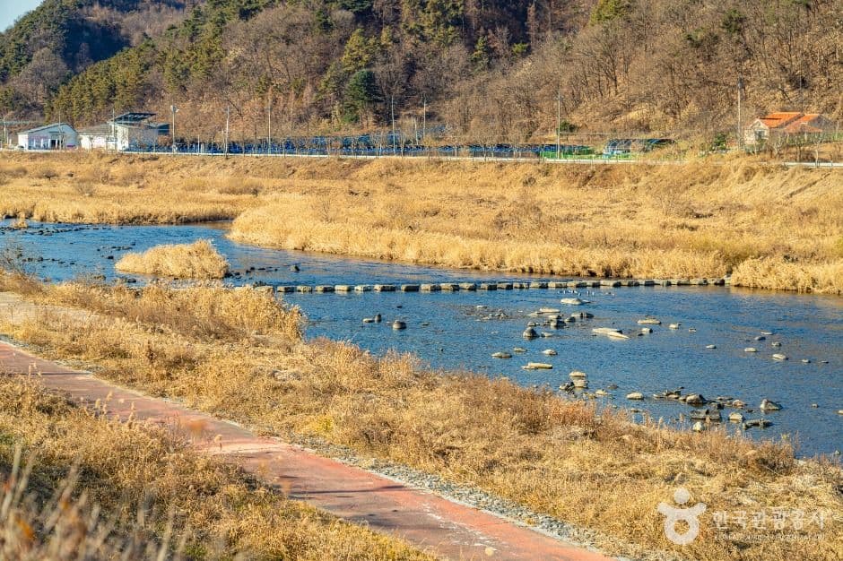 횡성_섬강(섬강유원지) (2)