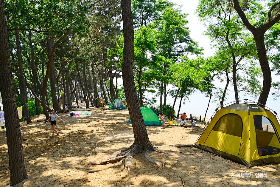 경기_안산_방아머리해수욕장_염관식 03
