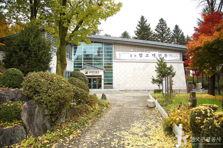 홍천 무궁화공원 (5)
