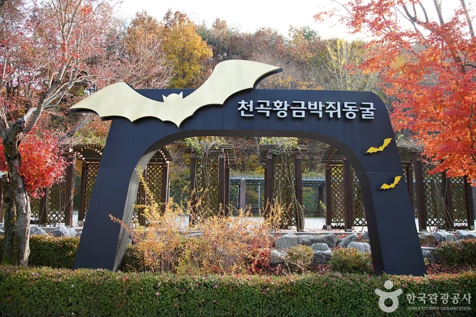 천곡천연동굴 자연학습체험공원 (1)