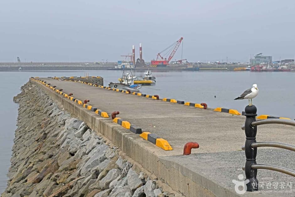 남당항어촌마을 (5)