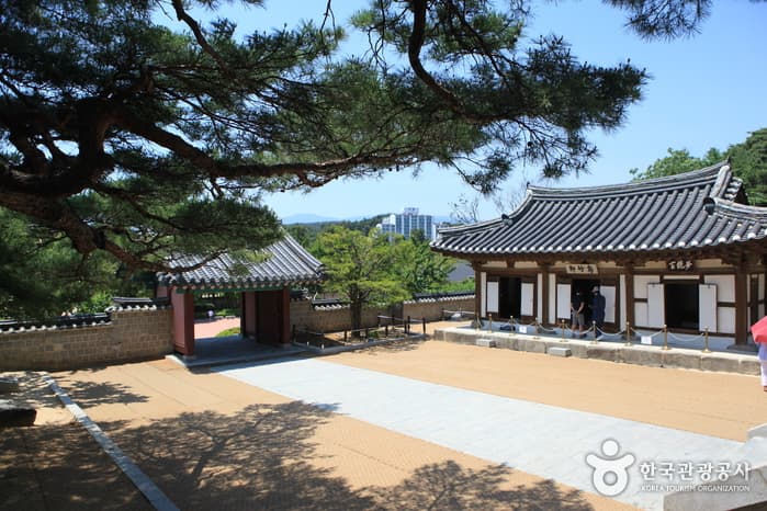 강원_강릉_커피 향 그윽한 강릉, 소돌아들바위공원_03
