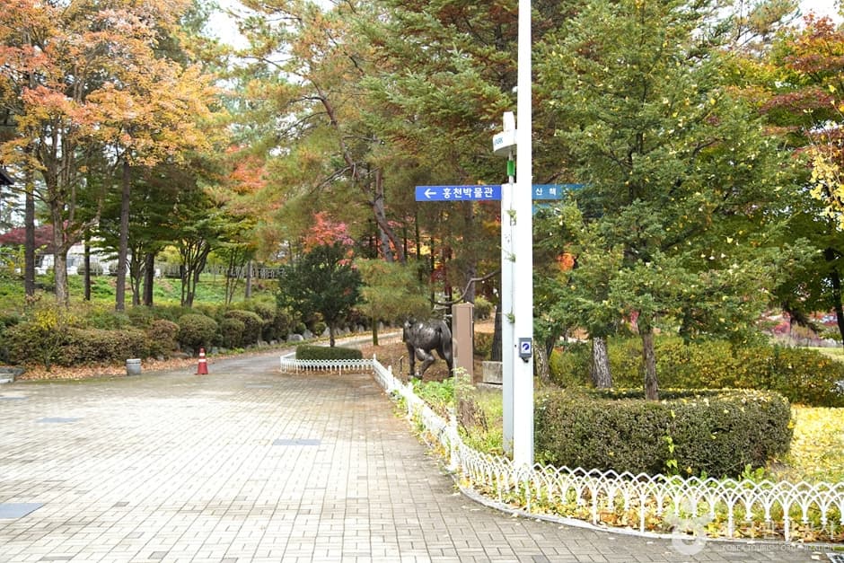홍천 무궁화공원 (7)